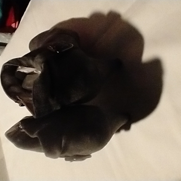 Boots - Picture 7 of 7